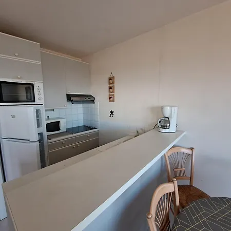 Apartament Spacieux 5 Pers Face A La Mer, Animaux Admis - Fr-1-323-485 *