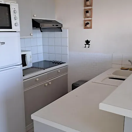 Spacieux 5 Pers Face A La Mer, Animaux Admis - Fr-1-323-485 Saint-Jean-de-Monts