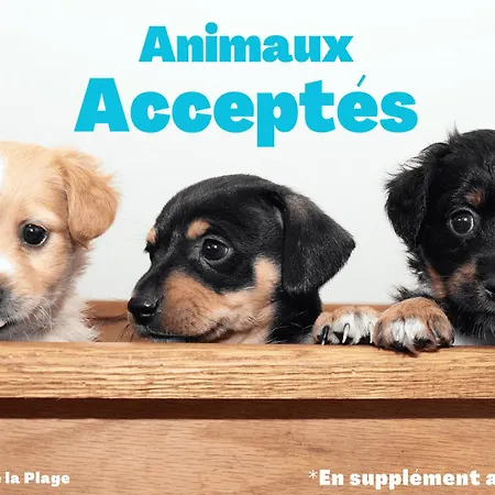 Spacieux 5 Pers Face A La Mer, Animaux Admis - Fr-1-323-485 Apartament *