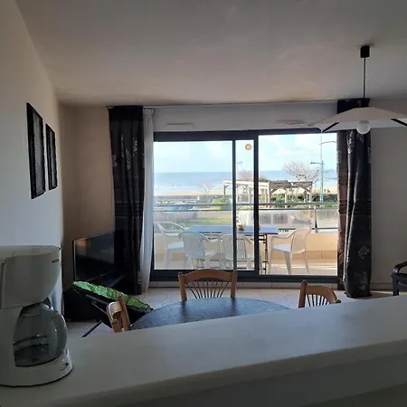 Spacieux 5 Pers Face A La Mer, Animaux Admis - Fr-1-323-485