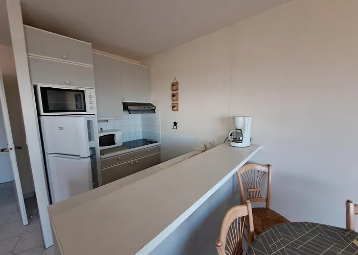 아파트 Spacieux 5 Pers Face A La Mer, Animaux Admis - Fr-1-323-485 *