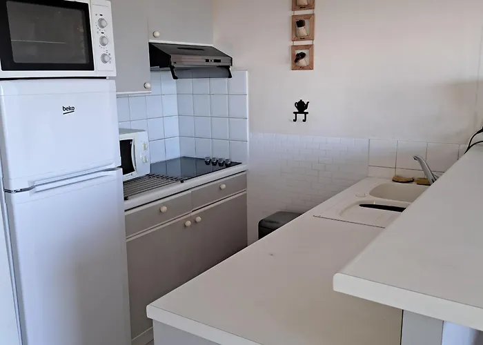 Spacieux 5 Pers Face A La Mer, Animaux Admis - Fr-1-323-485 생장드몽