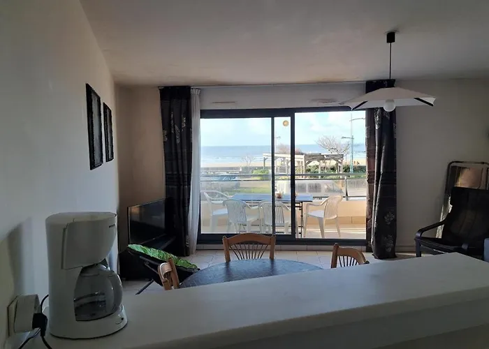 Spacieux 5 Pers Face A La Mer, Animaux Admis - Fr-1-323-485